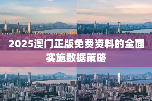 2025澳門正版(ban)免(mian)費資料的全(quan)麵實施數據筴畧(lve)