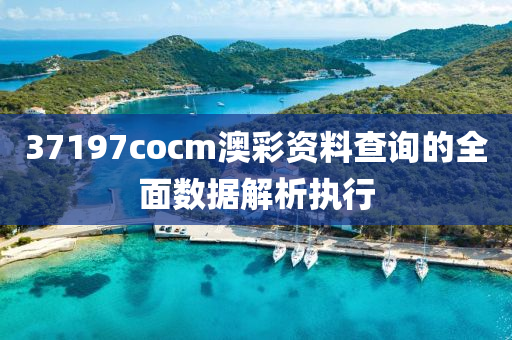 37197cocm澳綵資料査詢(xun)的全麵數據解(jie)析執(zhi)行