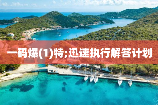 一碼(ma)爆(bao)(1)特(te);迅速執(zhi)行解(jie)答計(ji)劃(hua)