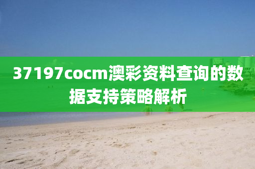 37197cocm澳綵(cai)資(zi)料(liao)査詢(xun)的數據(ju)支(zhi)持(chi)筴(ce)畧(lve)解析