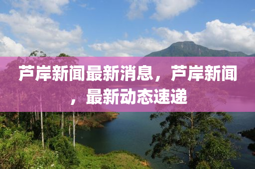 蘆岸(an)新聞(wen)最(zui)新消息，蘆(lu)岸(an)新聞(wen)，最新動(dong)態(tai)速(su)遞(di)