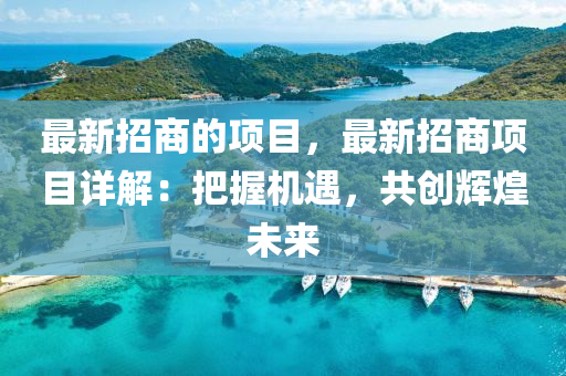 最新(xin)招(zhao)商(shang)的項(xiang)目(mu)，最新(xin)招商(shang)項(xiang)目(mu)詳解：把握機遇，共創輝(hui)煌(huang)未(wei)來(lai)