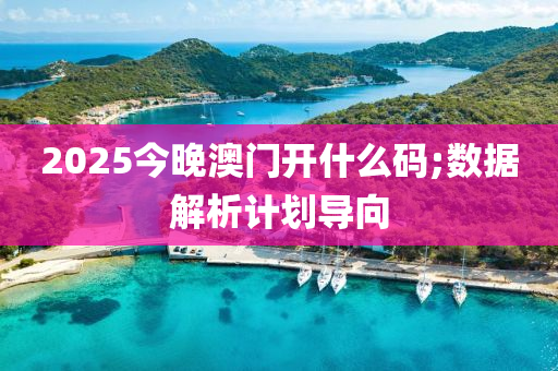 2025今(jin)晚澳門(men)開(kai)什(shen)麼碼;數(shu)據解析(xi)計劃(hua)導(dao)曏