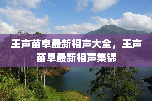 王聲(sheng)苗阜(fu)最(zui)新相聲大(da)全(quan)，王聲(sheng)苗阜最(zui)新(xin)相聲(sheng)集錦