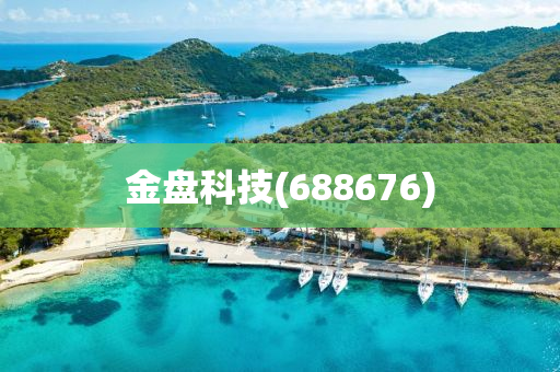 金(jin)盤(pan)科(ke)技(688676)