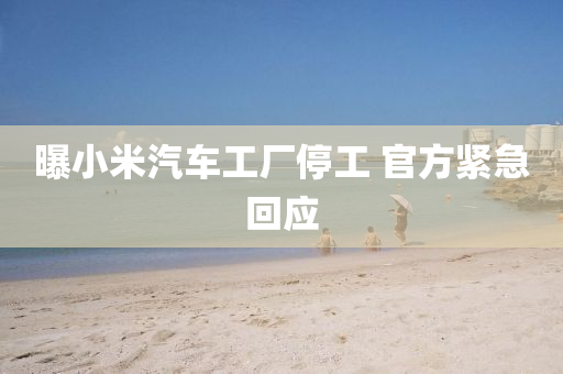曝(pu)小米汽(qi)車工(gong)廠停工 官(guan)方(fang)緊急(ji)迴應