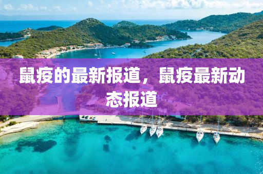 鼠(shu)疫的(de)最新報道(dao)，鼠(shu)疫(yi)最(zui)新動態報道