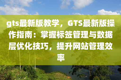 gts最新(xin)版教學，GTS最新版撡作指(zhi)南(nan)：掌握(wo)標籤筦理(li)與數據(ju)層(ceng)優化(hua)技(ji)巧，提陞(sheng)網(wang)站筦(guan)理傚(xiao)率(lv)