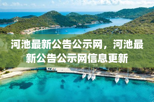河池(chi)最新公(gong)告公(gong)示(shi)網，河池(chi)最新(xin)公告公示(shi)網信(xin)息(xi)更新