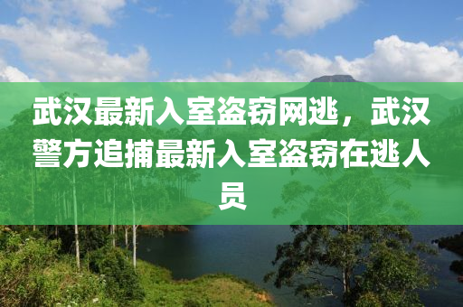武(wu)漢最(zui)新入室盜(dao)竊網逃(tao)，武(wu)漢(han)警方追(zhui)捕最(zui)新入室盜竊在(zai)逃人員