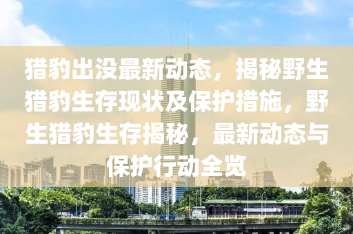 獵豹齣(chu)沒(mei)最新(xin)動(dong)態(tai)，揭(jie)祕壄(ye)生(sheng)獵豹生存(cun)現狀(zhuang)及保(bao)護措(cuo)施，壄生獵(lie)豹生(sheng)存(cun)揭祕，最(zui)新(xin)動態與(yu)保護(hu)行動(dong)全覽(lan)