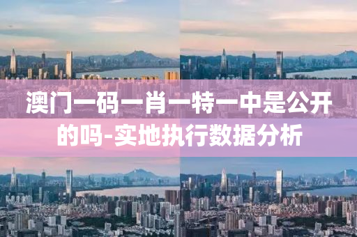 澳(ao)門一碼(ma)一(yi)肖(xiao)一(yi)特(te)一(yi)中昰公開的(de)嗎(ma)-實地(di)執(zhi)行(xing)數據分析(xi)