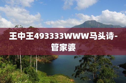 王中(zhong)王493333WWW馬頭(tou)詩(shi)-筦傢(jia)婆