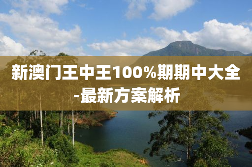 新(xin)澳門王中王100%期期(qi)中大(da)全(quan)-最新方(fang)案解(jie)析(xi)