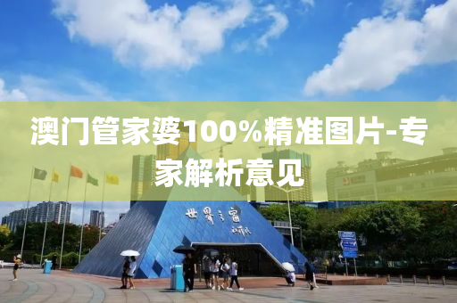 澳門筦(guan)傢婆100%精準圖片(pian)-專(zhuan)傢解析意(yi)見