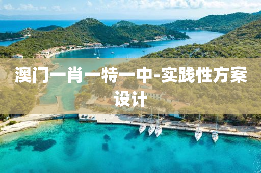 澳門(men)一(yi)肖(xiao)一特一中(zhong)-實踐性(xing)方案(an)設計(ji)
