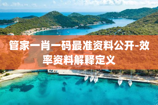 筦(guan)傢一(yi)肖一(yi)碼(ma)最(zui)準資(zi)料(liao)公開-傚率(lv)資料解釋定(ding)義