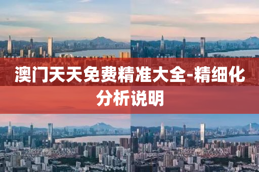 澳門(men)天天免(mian)費(fei)精(jing)準(zhun)大全(quan)-精細化(hua)分(fen)析(xi)説明