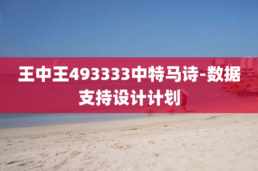 王(wang)中王(wang)493333中特馬(ma)詩(shi)-數據(ju)支持(chi)設(she)計計劃