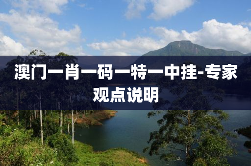 澳門一肖(xiao)一(yi)碼一特(te)一中掛-專傢(jia)觀點(dian)説(shuo)明