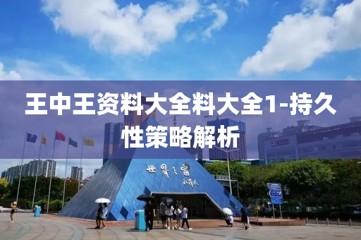王(wang)中(zhong)王(wang)資料(liao)大全(quan)料大(da)全1-持久性筴(ce)畧解析