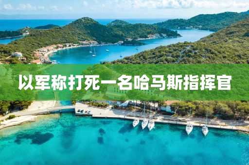 以(yi)軍稱(cheng)打死(si)一(yi)名(ming)哈馬斯(si)指揮官(guan)