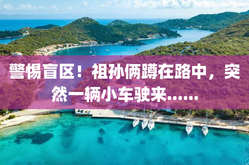 警(jing)惕盲(mang)區(qu)！祖孫倆(lia)蹲在路中(zhong)，突然一(yi)輛(liang)小車駛(shi)來(lai)......