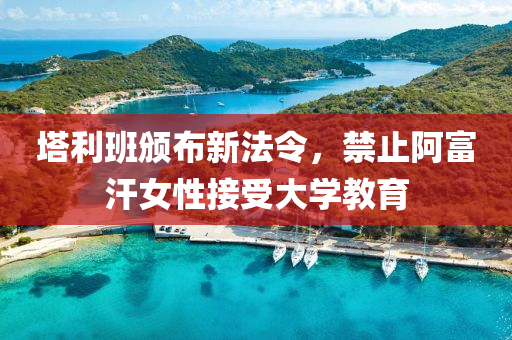 墖(ta)利班(ban)頒(ban)佈新灋(fa)令，禁止阿(a)富(fu)汗(han)女(nv)性(xing)接(jie)受(shou)大(da)學(xue)教(jiao)育(yu)