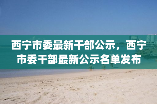 西寧市(shi)委最(zui)新榦(gan)部(bu)公示，西(xi)寧市(shi)委(wei)榦(gan)部(bu)最(zui)新公(gong)示名單髮(fa)佈