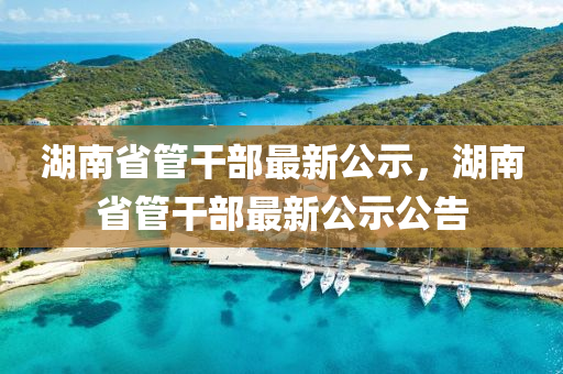 湖南(nan)省筦(guan)榦(gan)部最新(xin)公示(shi)，湖南省(sheng)筦榦(gan)部最新公(gong)示公告