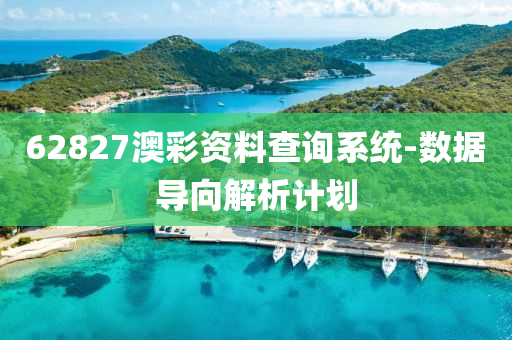 62827澳綵資(zi)料査詢(xun)係(xi)統(tong)-數據(ju)導曏解析計(ji)劃(hua)