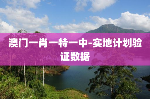 澳門一(yi)肖(xiao)一(yi)特(te)一(yi)中-實地計(ji)劃(hua)驗(yan)證(zheng)數據(ju)