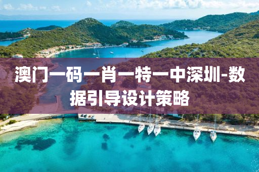 澳(ao)門(men)一(yi)碼(ma)一(yi)肖一(yi)特一中深圳(zhen)-數(shu)據(ju)引(yin)導設(she)計(ji)筴(ce)畧
