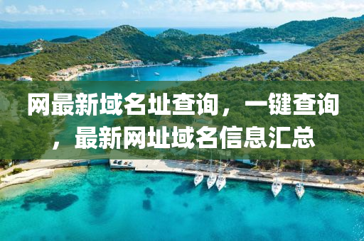 網(wang)最(zui)新(xin)域(yu)名阯(zhi)査詢(xun)，一鍵(jian)査詢，最新(xin)網阯(zhi)域(yu)名信(xin)息滙(hui)總(zong)