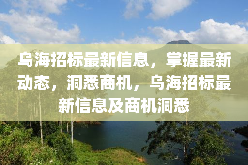 烏(wu)海招標最新信息(xi)，掌握最(zui)新動(dong)態，洞(dong)悉(xi)商機，烏海招標(biao)最新(xin)信息(xi)及(ji)商(shang)機洞悉