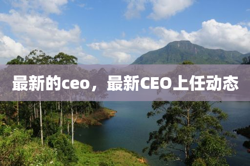 最新的ceo，最(zui)新(xin)CEO上任動(dong)態(tai)