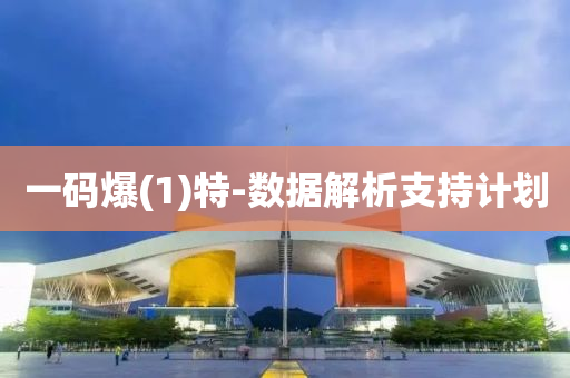 一(yi)碼(ma)爆(bao)(1)特-數(shu)據解析(xi)支持(chi)計(ji)劃