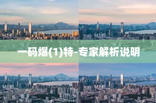 一(yi)碼(ma)爆(1)特(te)-專(zhuan)傢(jia)解(jie)析説(shuo)明