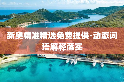 新(xin)奧(ao)精(jing)準精(jing)選(xuan)免費提供-動態詞(ci)語解(jie)釋落實(shi)