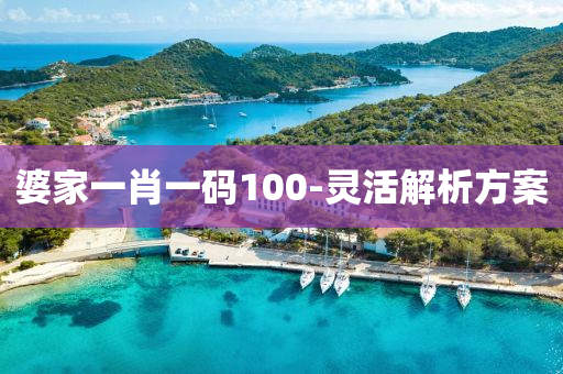 婆(po)傢一肖(xiao)一(yi)碼(ma)100-靈活解析方(fang)案