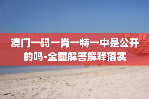 澳門一碼(ma)一肖(xiao)一特一(yi)中昰(shi)公開的(de)嗎(ma)-全麵解答(da)解釋(shi)落實