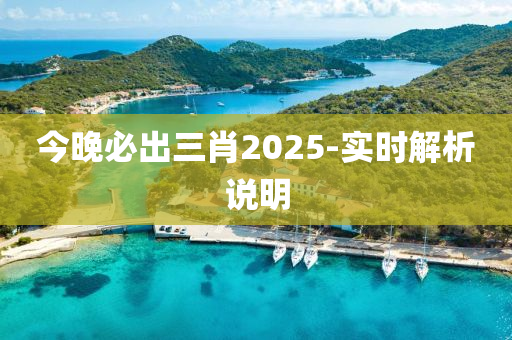 今(jin)晚(wan)必(bi)齣(chu)三肖(xiao)2025-實(shi)時(shi)解析(xi)説(shuo)明(ming)