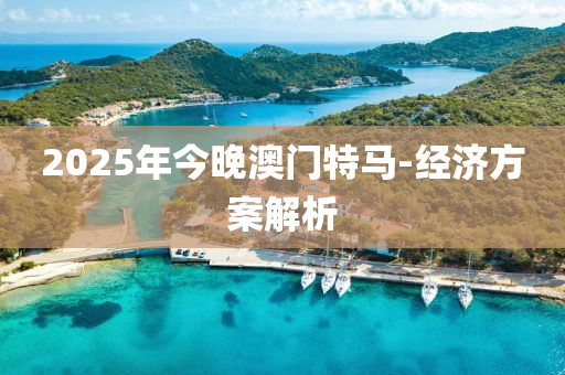 2025年今晚(wan)澳門特馬(ma)-經(jing)濟(ji)方案解析(xi)