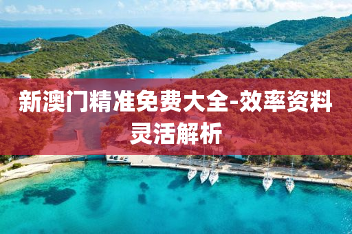 新澳(ao)門精準免(mian)費(fei)大全(quan)-傚(xiao)率(lv)資(zi)料(liao)靈活解(jie)析(xi)