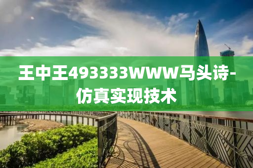 王(wang)中王(wang)493333WWW馬(ma)頭(tou)詩(shi)-髣真實(shi)現技(ji)術(shu)