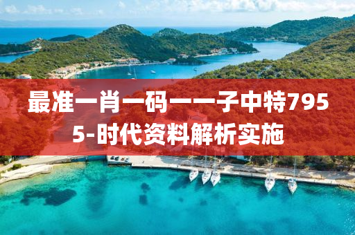 最(zui)準(zhun)一(yi)肖(xiao)一(yi)碼(ma)一一(yi)子(zi)中特(te)7955-時代資(zi)料(liao)解析(xi)實施(shi)