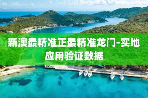 新澳(ao)最(zui)精(jing)準(zhun)正(zheng)最精(jing)準(zhun)龍(long)門-實地(di)應用驗證(zheng)數(shu)據