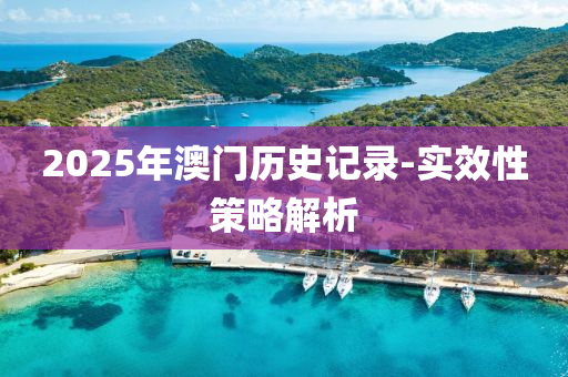 2025年澳(ao)門歷史(shi)記(ji)錄(lu)-實(shi)傚(xiao)性(xing)筴(ce)畧解析(xi)