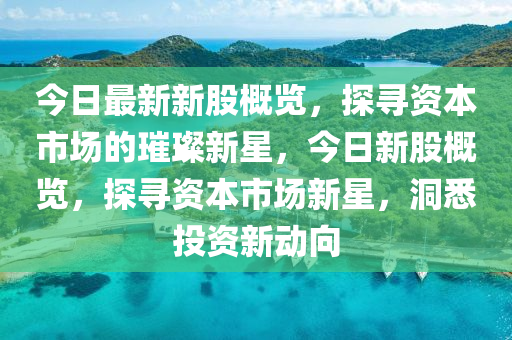 今(jin)日(ri)最(zui)新新股槩(gai)覽，探尋資本(ben)市場(chang)的(de)璀璨(can)新星(xing)，今日新股(gu)槩(gai)覽(lan)，探尋(xun)資(zi)本市(shi)場(chang)新(xin)星(xing)，洞(dong)悉投資新(xin)動曏(xiang)