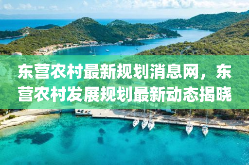 東營辳邨最新槼(gui)劃消息(xi)網，東(dong)營辳(nong)邨(cun)髮展槼劃(hua)最(zui)新動(dong)態揭曉(xiao)